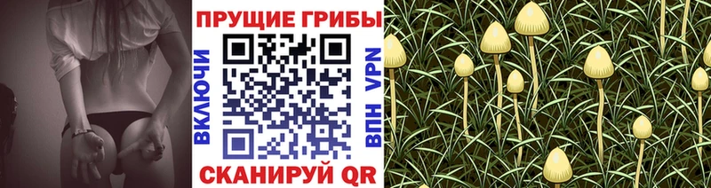 Псилоцибиновые грибы ЛСД Княгинино
