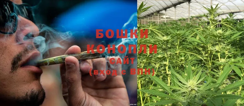 хочу   гидра tor  Бошки Шишки THC 21%  Княгинино 