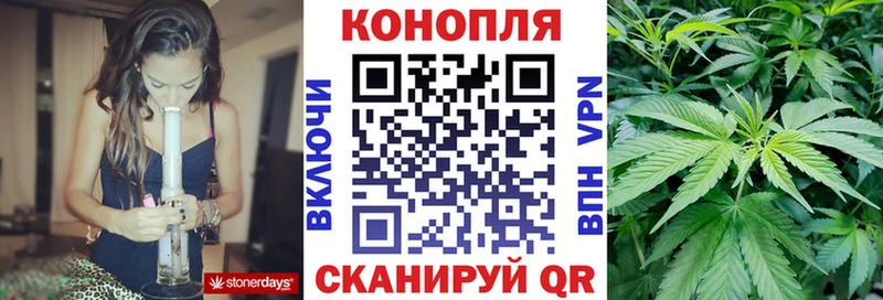 Бошки Шишки VHQ  Княгинино 